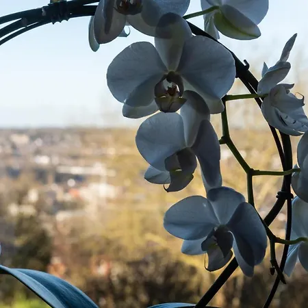 Le Refuge Διαμέρισμα