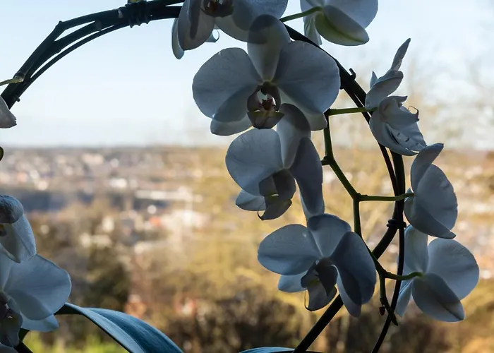 Le Refuge Apartamento